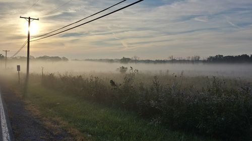 Scenic view of trees against sky during foggy weather