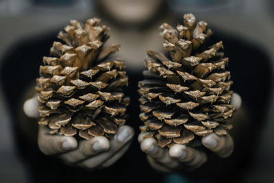 Close-up of dried pinecone on human hand