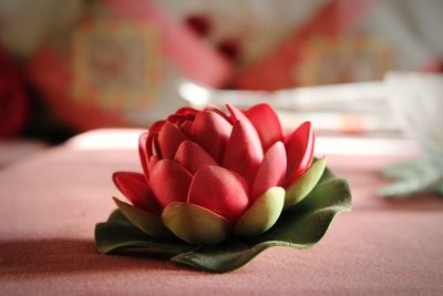 Close-up of flower against blurred background