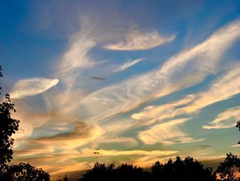 Low angle view of silhouette trees against sky during sunset
