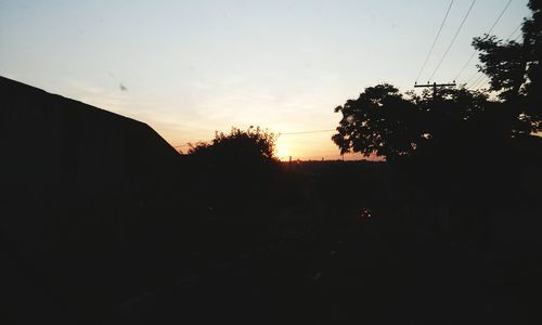 Silhouette trees at sunset