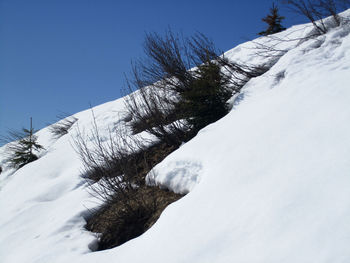 Scenic view of snow covered landscape