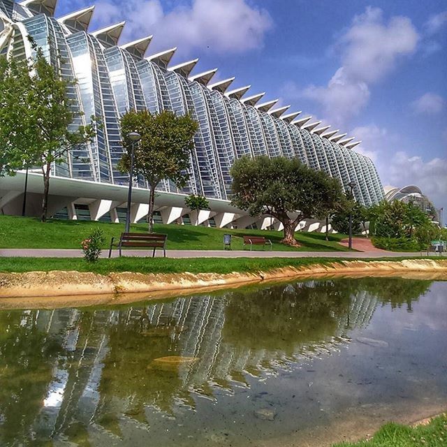 water, architecture, built structure, reflection, tree, building exterior, sky, grass, pond, fountain, cloud - sky, green color, park - man made space, waterfront, incidental people, nature, day, growth, cloud, outdoors
