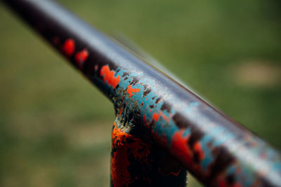 Close-up of rusty metal railing