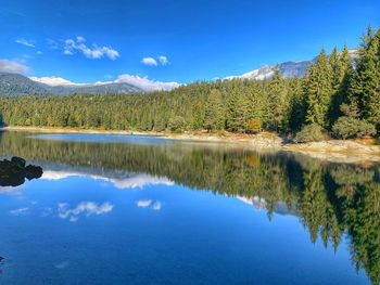 Scenic view of lake by trees against blue sky