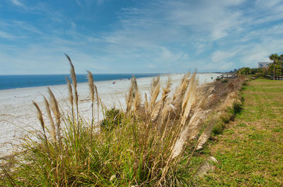 Scenic view of sea against sky