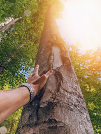 Low section of man on tree trunk