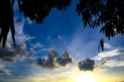 Low angle view of silhouette bird against sky at sunset