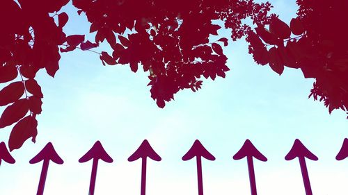 Low angle view of trees against sky