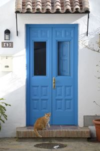 Cat looking through window of building