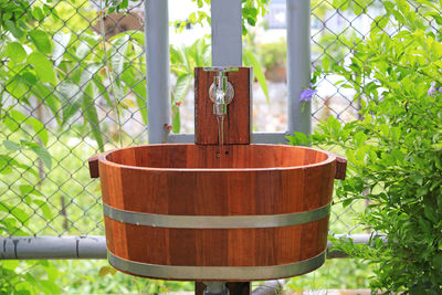 Close-up of potted plant by fence in garden