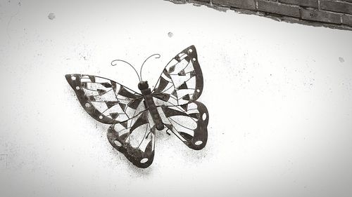 Close-up of bicycle on wet wall