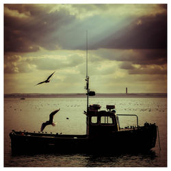 Silhouette birds flying over sea against sky