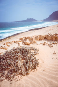 Scenic view of beach against sky