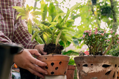 Midsection of person holding potted plant