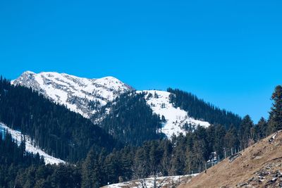 Pine trees on snowcapped mountains against clear blue sky