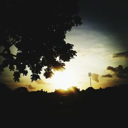 Silhouette of trees at sunset