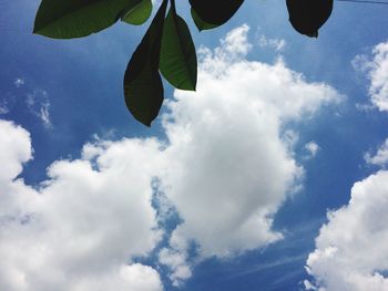 Low angle view of sky