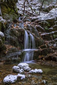 Scenic view of waterfall in forest