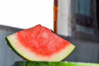 Close-up of watermelon slices on a plate