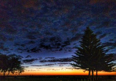 Silhouette trees on landscape against sky at night