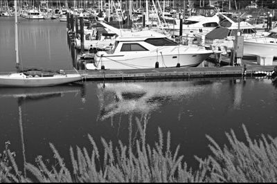 Boats moored at harbor