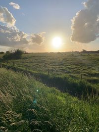 Scenic view of field against sky during sunset