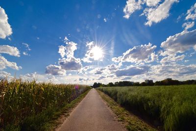 Road amidst field against sky