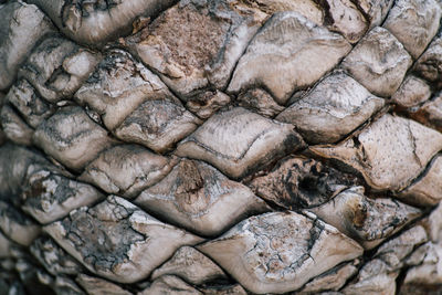 Full frame shot of rocks