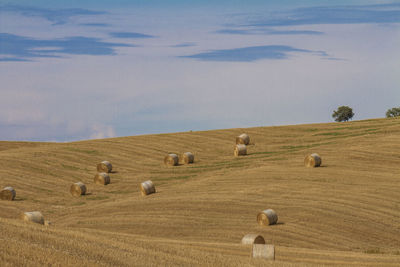 Hay bales on field against sky