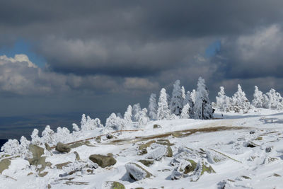 Snow covered land on mountainbikes against sky