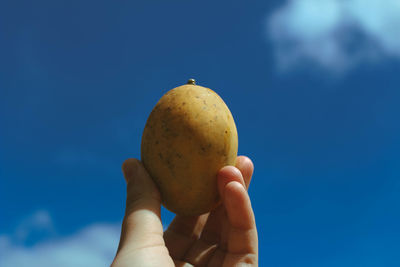 Close-up of hand holding mango against blue sky