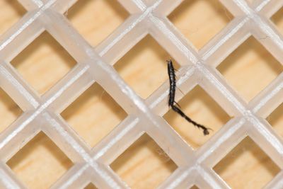 Full frame shot of wall