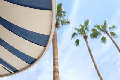 Low angle view of palm trees