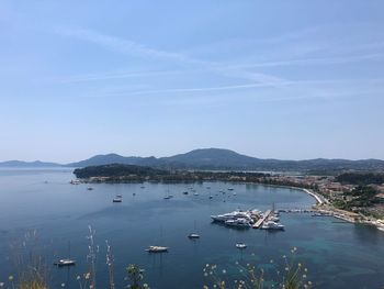 Sailboats in marina