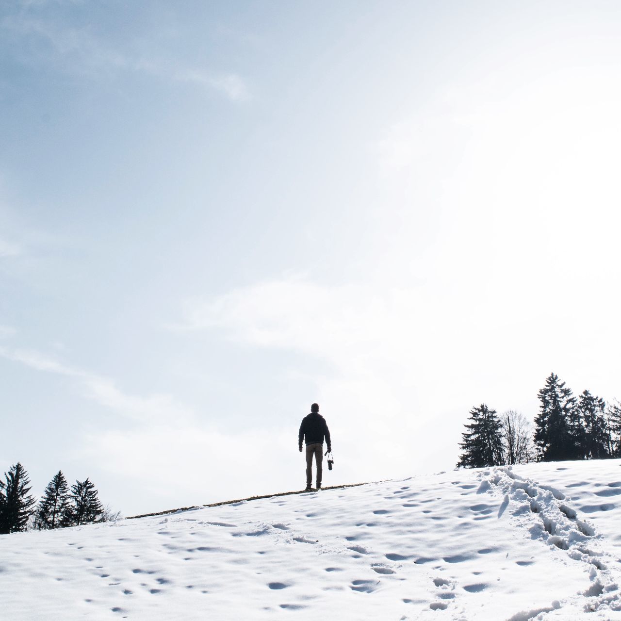 snow, winter, cold temperature, season, full length, domestic animals, walking, weather, rear view, dog, landscape, mammal, sky, animal themes, pets, men, covering, field