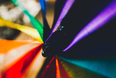 Close-up of multi colored leaf