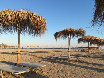 Coconut palm trees on beach against clear sky