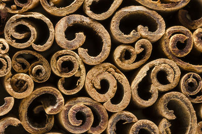 Macro photography of the cinnamon sticks. abstract background