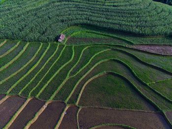 Aerial view beautiful morning view from indonesia about mountain and forest