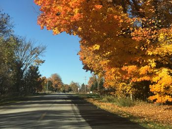 Road amidst trees against clear sky during autumn