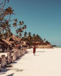 Rear view of man walking at beach against clear sky