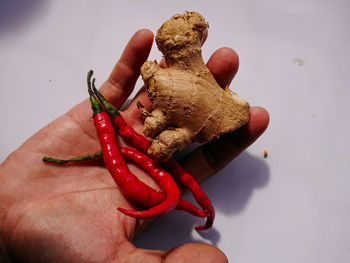 Close-up of hand holding red chili peppers