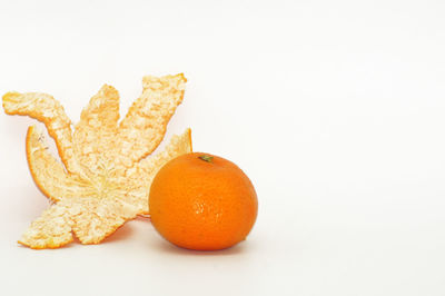 Close-up of orange fruit against white background