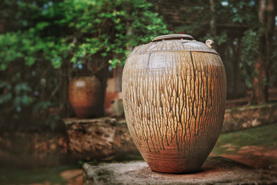 Close-up of old tree stump on field