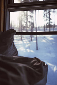 View from the sleeping train to abisko, lapland.