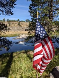 Flag on field against sky