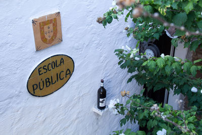 Closeup of text on the white wall of an old public school and a bottle of wine.