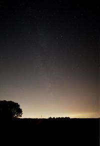 Silhouette trees against sky at night