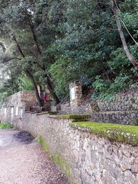 Footpath in park